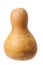 Chinese Gourd