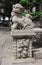 Chinese guardian lion. View of Lin Fung Temple