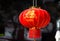 Chinese Hanging Paper Lantern
