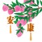 Chinese healthy knot peach fruit tree