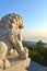 Chinese Imperial stone Lion