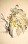 Chinese ink painting bird and plant