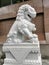 A Chinese inspired lion made from marble stone in Chinatown, Port-of-Spain, Trinidad and Tobago.