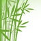 Chinese or japanese bamboo grass oriental wallpaper stock vector