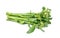 Chinese kale vegetable on white background