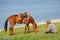 Chinese Kazakh herdsmen with horse at Sailimu lak