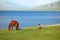 Chinese Kazakh herdsmen with horse at Sailimu lake