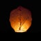 Chinese Lantern