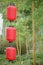 Chinese lanterns and bamboo