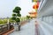 Chinese lanterns during new year festival with Bonsai tree, Dwarf tree