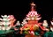 Chinese Lotus lantern Show