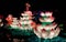 Chinese Lotus lantern Show