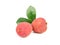 Chinese lychee fruit