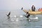 Chinese man fishing with cormorants birds