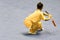 Chinese Martial Arts (Wushu)