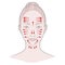 Chinese massage with Gu Sha stones. Lines of massage on the face, vector illustration