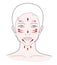 Chinese massage with Gua Sha stones. Lines of massage on the face, vector illustration