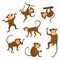 Chinese New Year 2016 monkeys decoration icon. Monkey in east style. Happy ape collection. Vector illustration. Brown