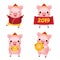 Chinese new year. 2019 happy cartoon pig collection. illustration for calendars and cards. Pigs with yuanbao, coin and other