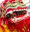 Chinese New Year Celebrations in Usera Madrid, Spain