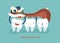 Chinese New Year Of Dental