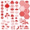 Chinese new year elements. Festive oriental asian style. Red cloud, flowers and moon, bamboo and sakura, lotus leaves