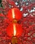 Chinese New Year lantern or Tung Lung