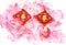 Chinese New Year ornaments and plum blossoms