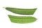 Chinese Okra, Angled Luffa,