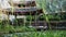 Chinese pagoda building set in water garden with willow tree, pond filled with water lilies, orange trees