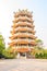 Chinese pagodas tower.