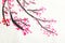 Chinese painting of flowers, plum blossom