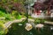 The Chinese pavilion, Golden Gate Park