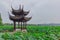 Chinese pavilion over lotus leaves with view of West Lake and hills, in Hangzhou, China