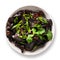 Chinese pickled tree black muer mushrooms in bowl on white background.