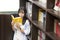 Chinese Portrait of young beautiful woman reads Book In Bookstore