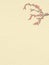 Chinese Retro Style Wintersweet Background, Winter