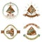 Chinese rice dumpling dragon boat festival icon set