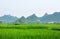 Chinese scenic rice field in Guangxi