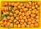 Chinese small cumquat oranges