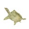 Chinese soft-shelled turtle on white. 3D illustration