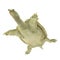 Chinese Softshell Turtle on white. 3D illustration