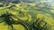 Chinese spring terraced scene, rapeseed field and rice terraces, zoom in