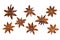 Chinese star anise, Star anise, fruits paste on a white background.