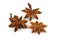 Chinese Star Anise, Star Anise, Star Aniseed, Badiane, Badian, Badian Khatai, Bunga Lawang, Thakolam.