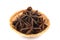 Chinese Star Anise, Star Anise, Star Aniseed, Badiane, Badian, Badian Khatai, Bunga Lawang, Thakolam, herbs have medicinal propert