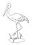 The Chinese stork stands on its foot. Coloring book.