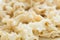 Chinese style wide noodles pasta close up detail view