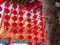 Chinese Temple detailed ornate column and Red Lanterns against a blue sky