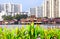 Chinese temple on water, Clan Jetties, Georgetown, Penang, Malay